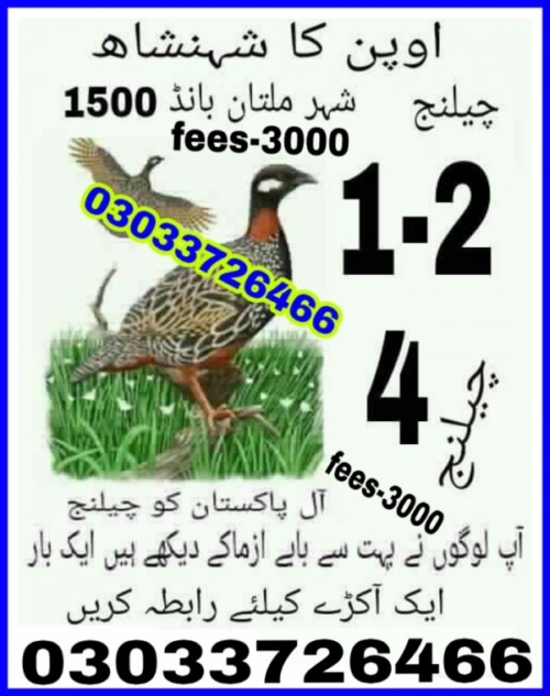 Guess Papers All Prizebond