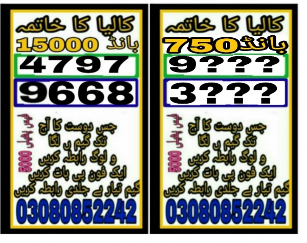 Guess Papers All Prizebond