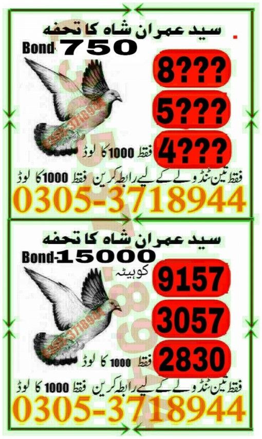 Guess Papers All Prizebond