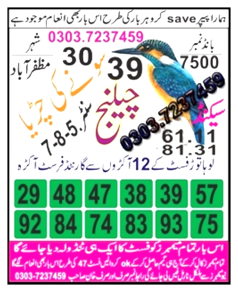 Guess Papers All Prizebond