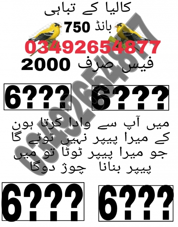 Guess Papers All Prizebond