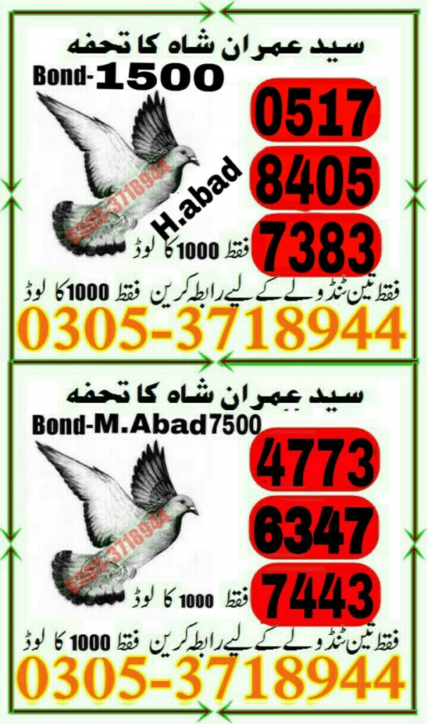 Guess Papers All Prizebond