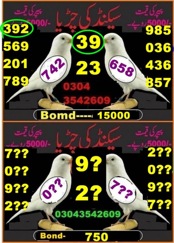 Guess Papers All Prizebond
